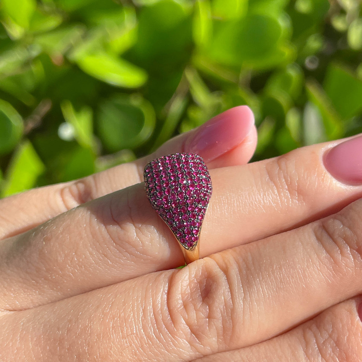 Jay Feder 14k Yellow Gold Ruby Pave Set Ring