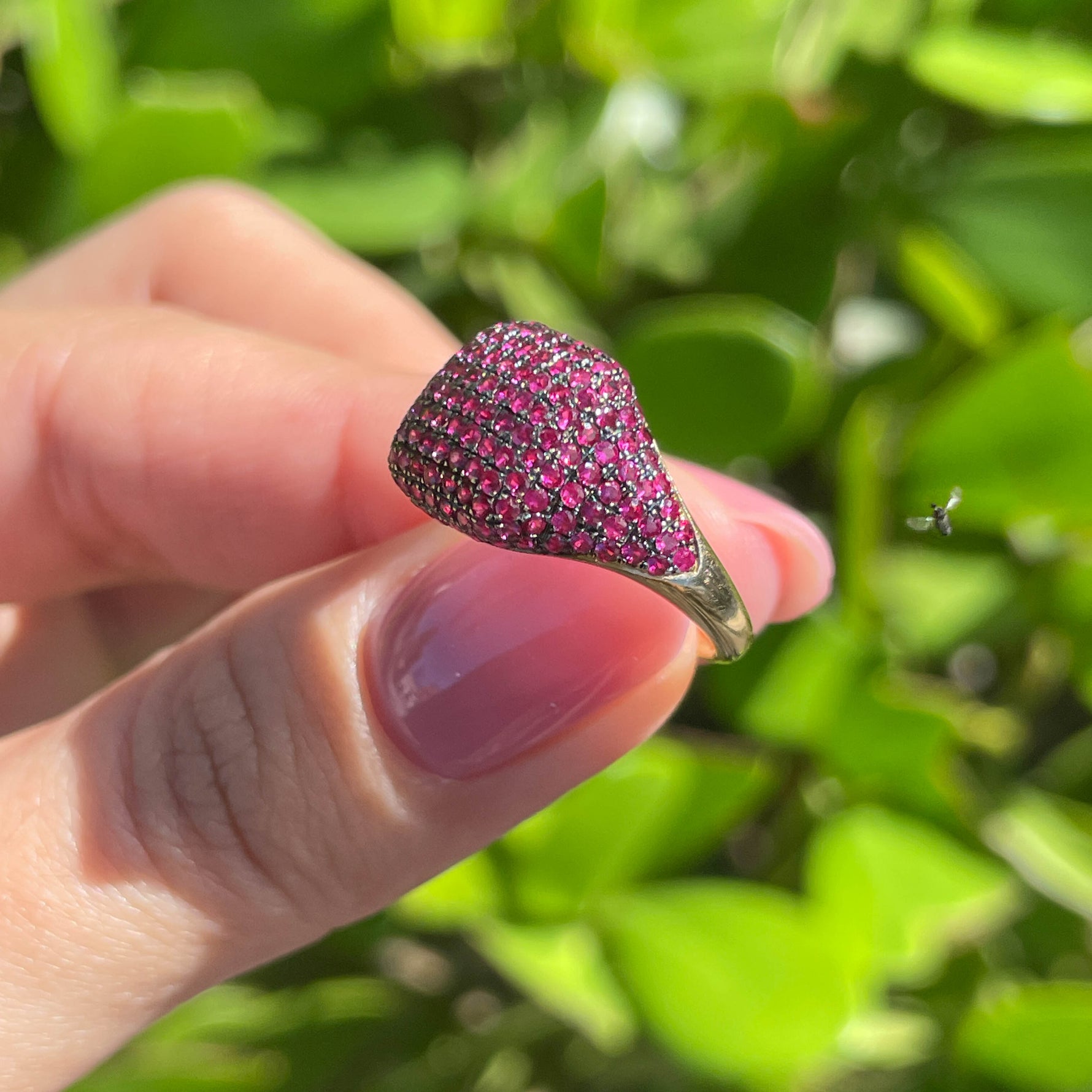 Jay Feder 14k Yellow Gold Ruby Pave Set Ring