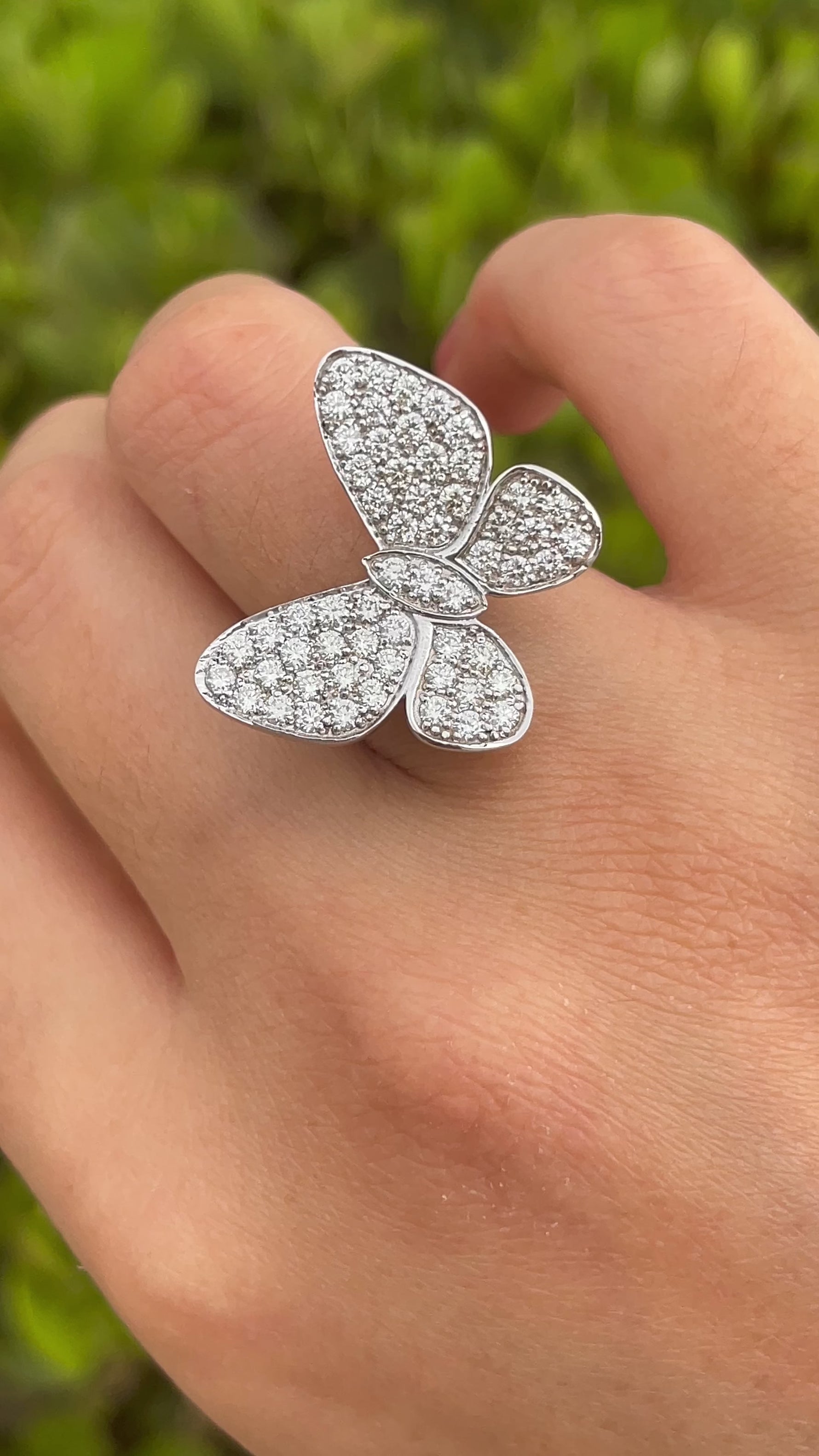 JAY FEDER 14K WHITE GOLD DIAMOND BUTTERFLY RING