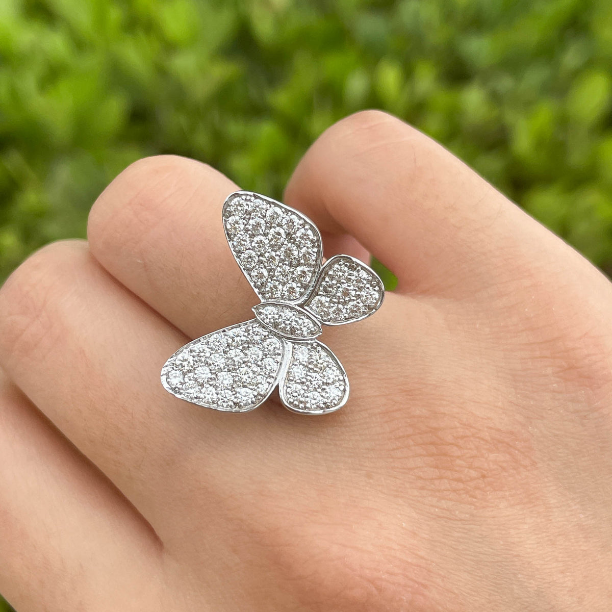 Jay Feder 14k White Gold Diamond Butterfly Ring