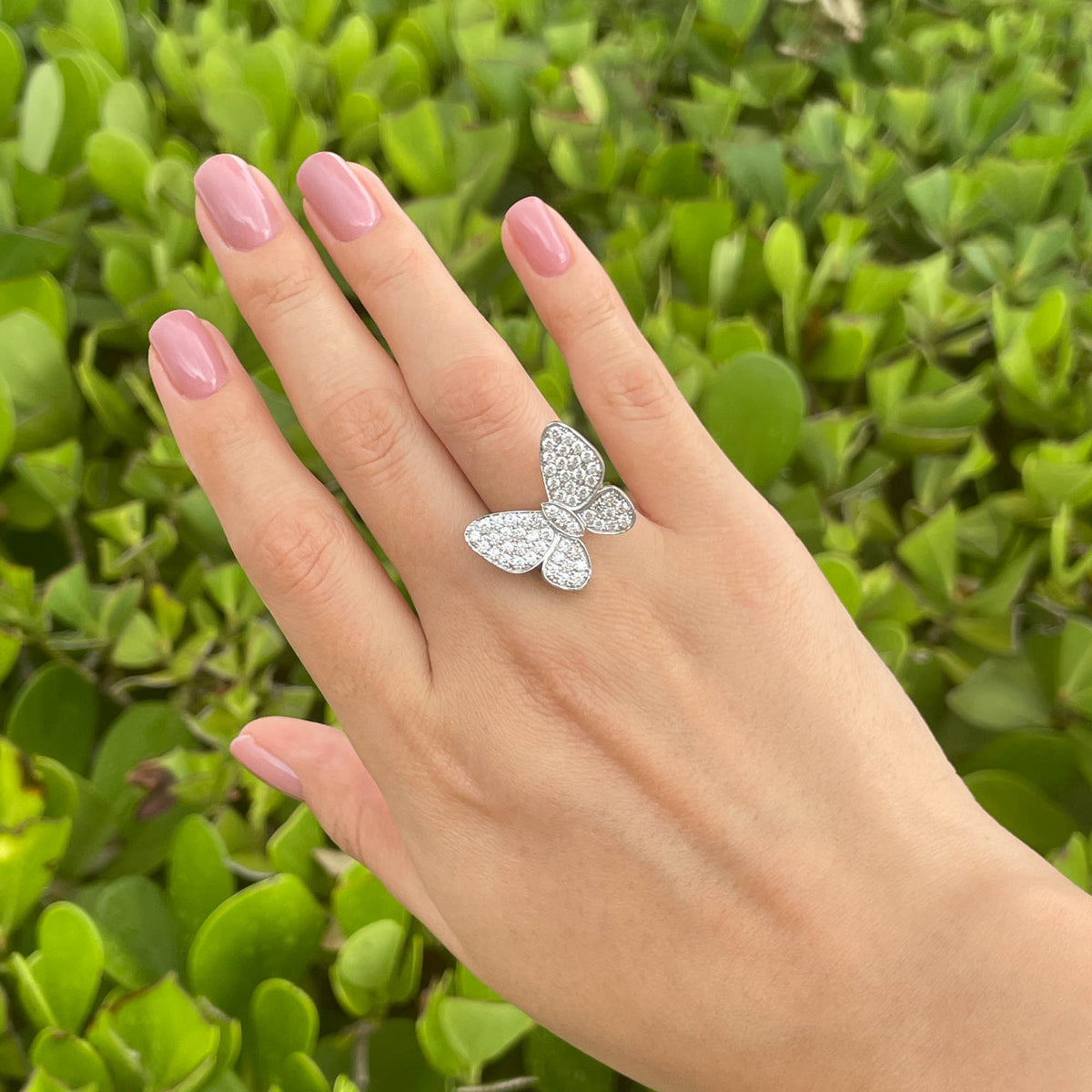 Jay Feder 14k White Gold Diamond Butterfly Ring