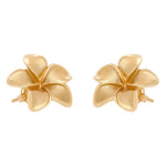 Jay Feder 14K Yellow Gold Flower Stud Earrings
