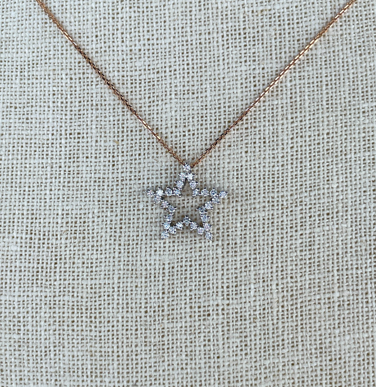 Jay Feder 14K White Gold & Diamond Five Point Star Necklace