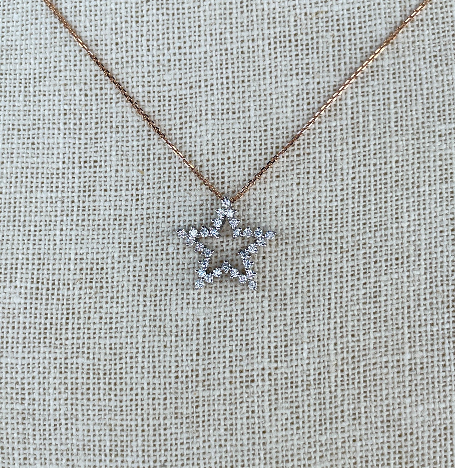 Jay Feder 14K White Gold & Diamond Five Point Star Necklace