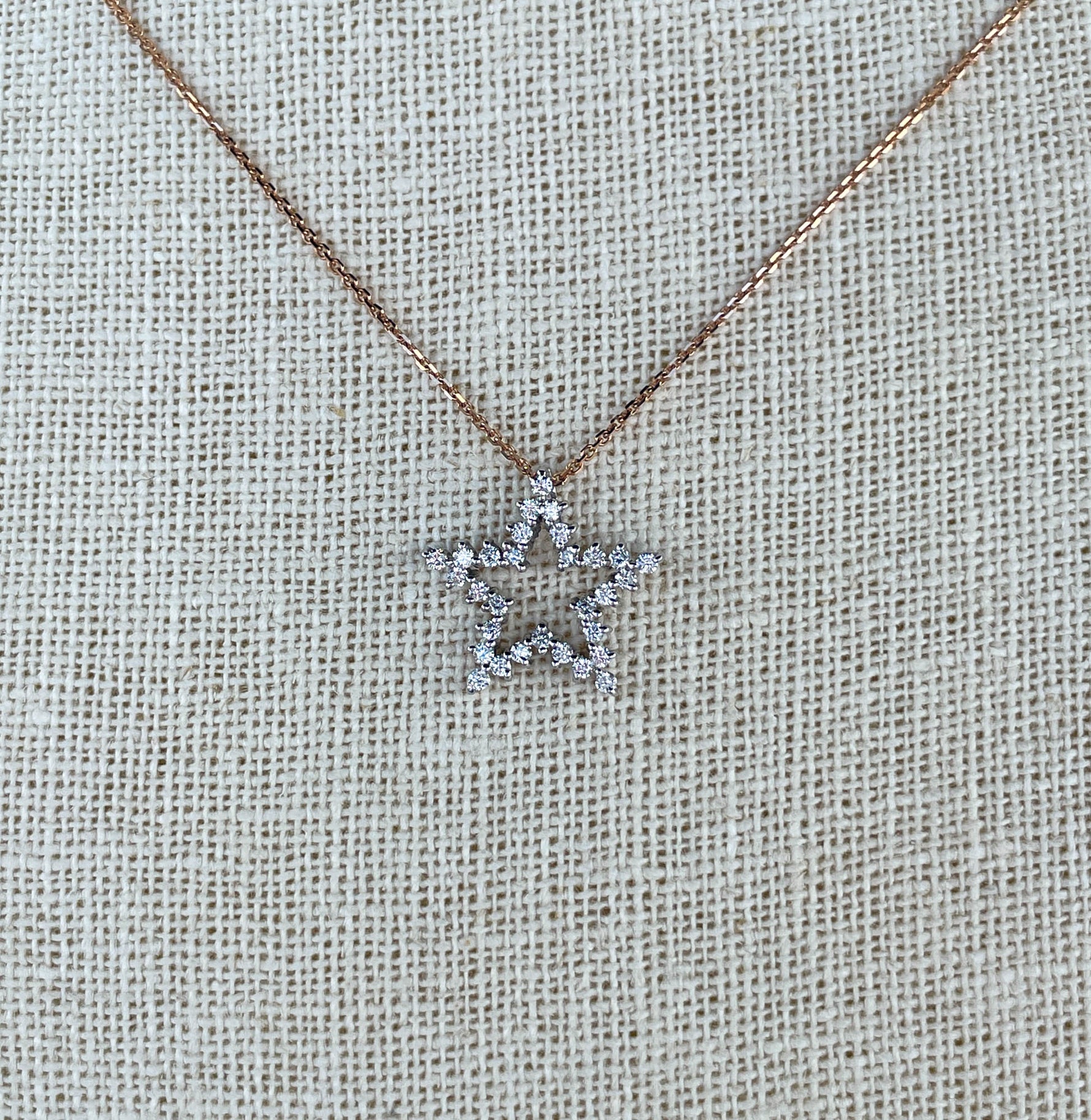 Jay Feder 14K White Gold & Diamond Five Point Star Necklace