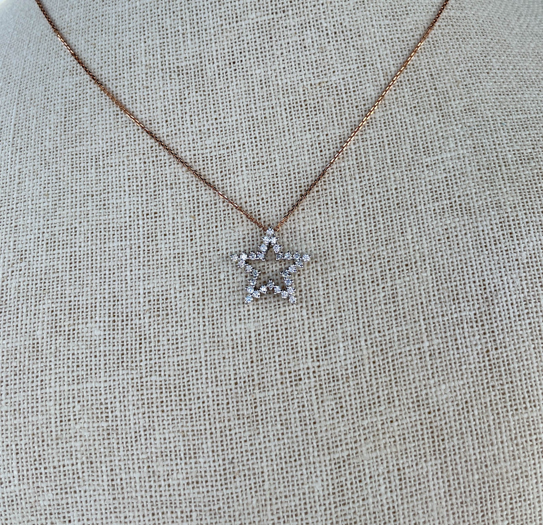 Jay Feder 14K White Gold & Diamond Five Point Star Necklace