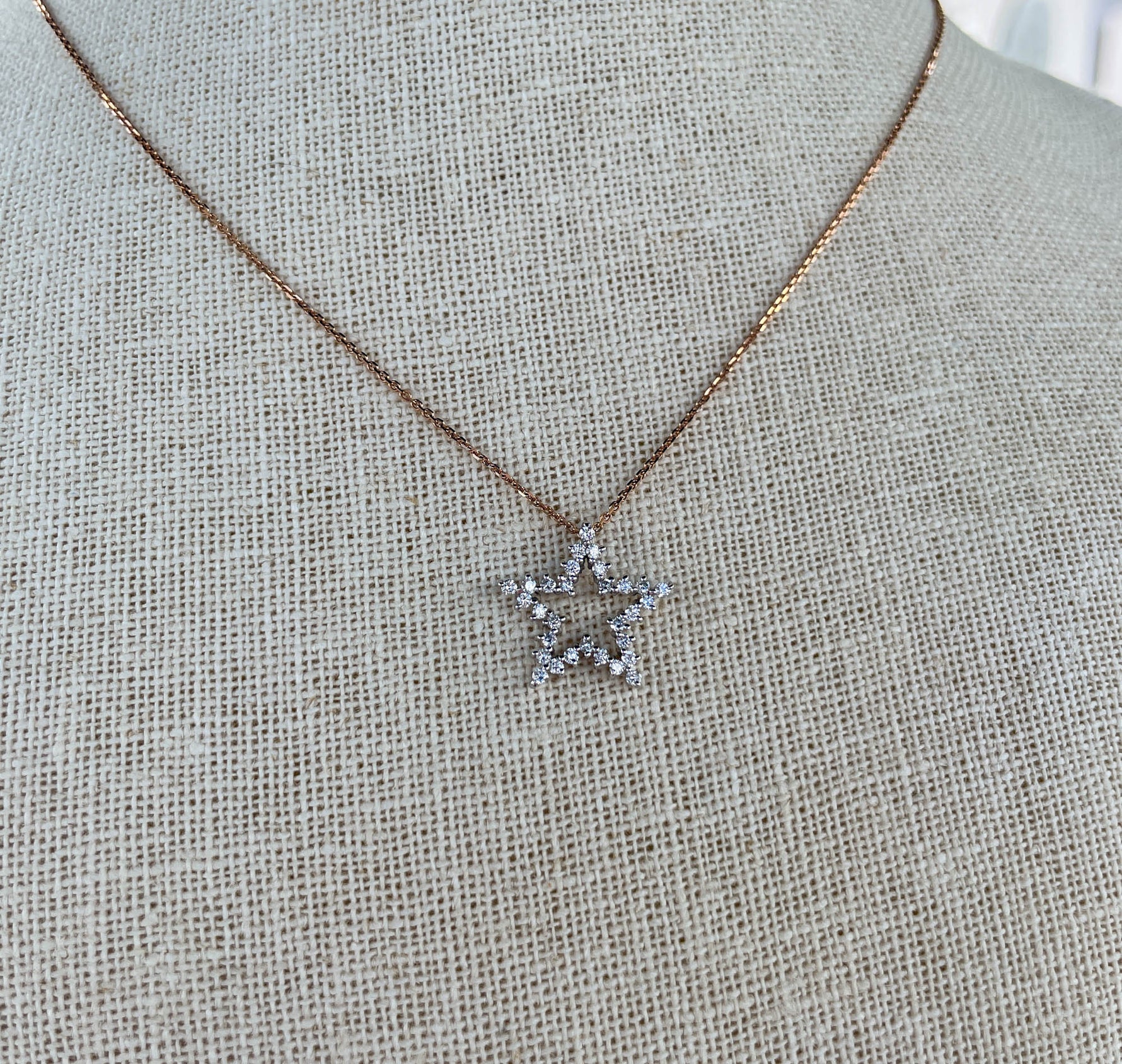 Jay Feder 14K White Gold & Diamond Five Point Star Necklace
