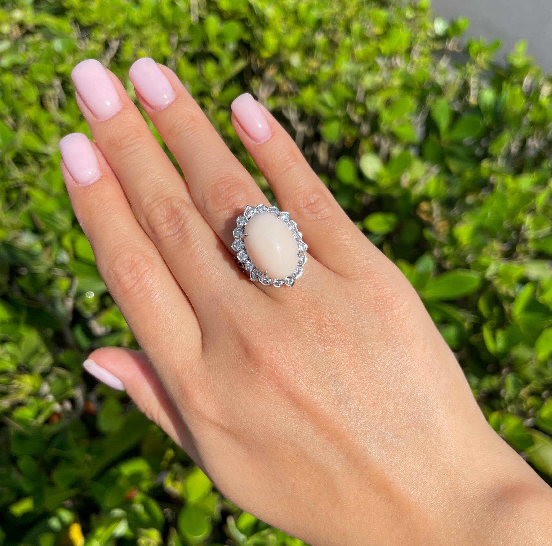 Jay Feder 14K White gold Pink Coral Diamond Halo Ring